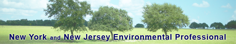 New York and New Jersey Industry Professional